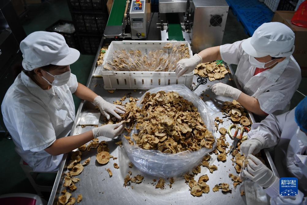 澳利国际下载
